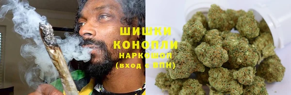 шишки Костерёво