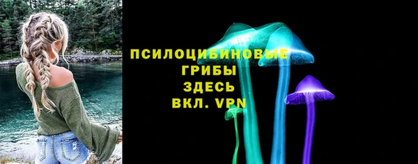мдпв Коряжма