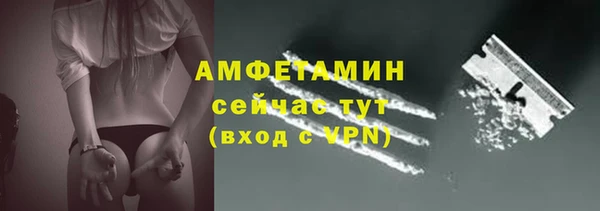 шишки Костерёво