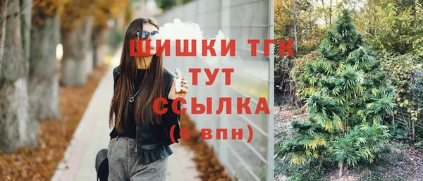 spice Корсаков