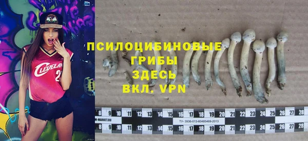 шишки Костерёво