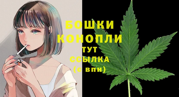 spice Корсаков