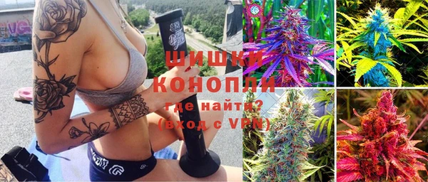 мдпв Коряжма