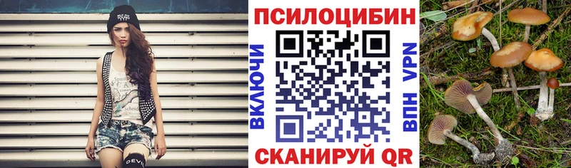 Купить закладки  Бологое  Псилоцибиновые грибы GOLDEN TEACHER 